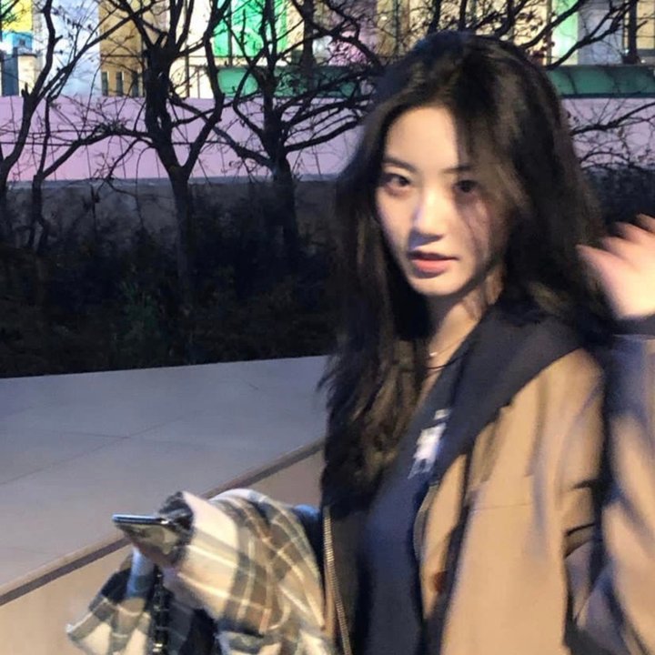 阿拉木之役